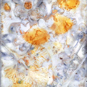 Eco-dyed Botanical Print by Aimee J Mattila 