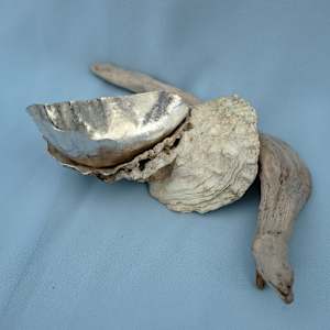 Silver Oyster Shell by Artist Aimee J  Image: Sterling  Silver Oyster Shell