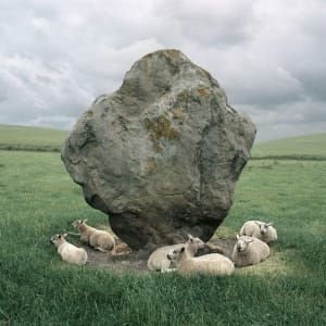 Sheep and Standing Stone, Avebury, England by Barry W. Anderson (American, born 1945)