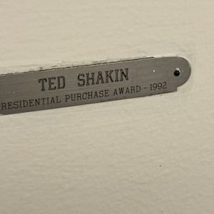 Presidential Purchase Award (1992) by Ted Shakin 