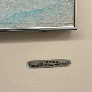 Presidential Purchase Award (1990) by Lucy Rosenberg 