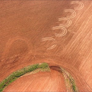 Alabama #18-6 by Barry W. Anderson (American, born 1945)