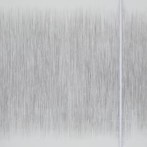 Fragment 1 by Susan Schwalb  Image: Close up