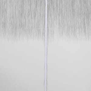 Fragment 1 by Susan Schwalb  Image: Close up
