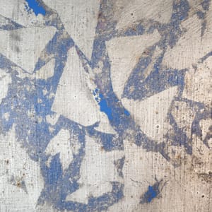 Fragment 1 by Susan Schwalb  Image: Close up