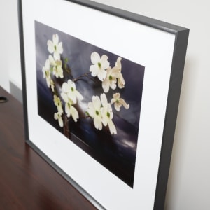Dogwood, Northumberland Strait by Vaughn Sills  Image: Top right corner
