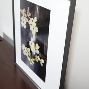 Dogwood, Northumberland Strait by Vaughn Sills  Image: Bottom right corner