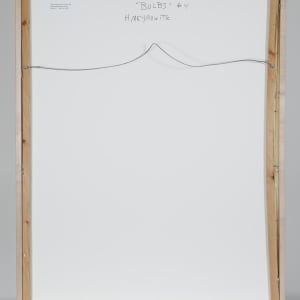 Up-Rooted #4 by Helen Meyrowitz  Image: Back