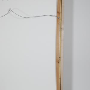 Up-Rooted #4 by Helen Meyrowitz  Image: Back of frame damage