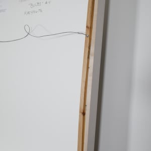 Up-Rooted #4 by Helen Meyrowitz  Image: Back of frame damage