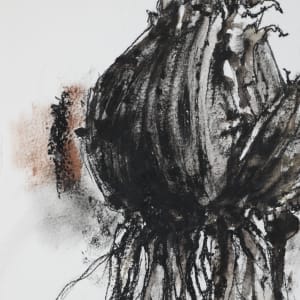 Up-Rooted #4 by Helen Meyrowitz  Image: Close up