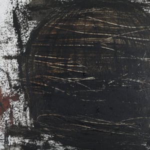 Up-Rooted #4 by Helen Meyrowitz  Image: Close up