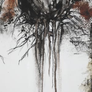 Up-Rooted #4 by Helen Meyrowitz  Image: Close up