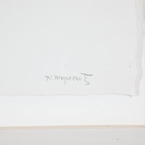 Up-Rooted #4 by Helen Meyrowitz  Image: Signature