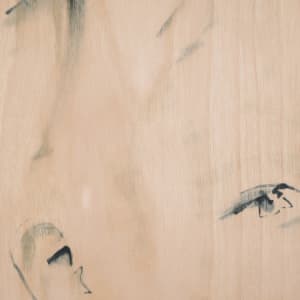 Untitled by Jenny Carpenter  Image: Close up