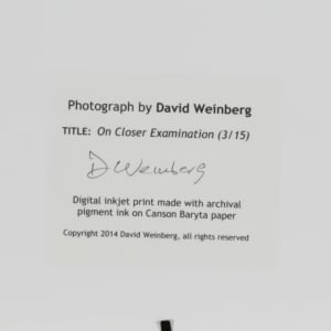On Closer Examination by David Weinberg  Image: Text on back