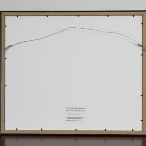 On Closer Examination by David Weinberg  Image: Back