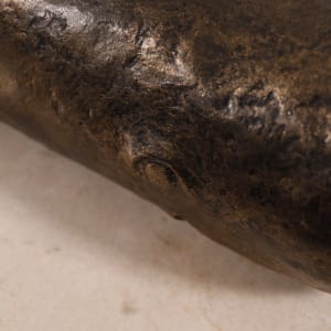 Happy Go Lucky Smiling Whale A/P by Nancy Schön  Image: Close up