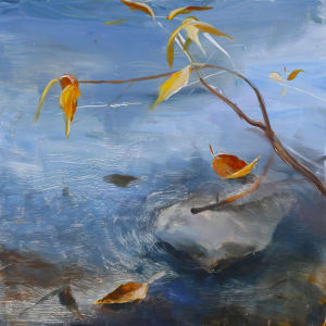 A Rock in the River by Ilana Manolson