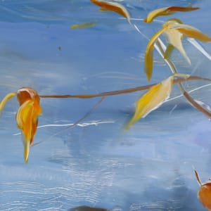 A Rock in the River by Ilana Manolson  Image: Close up