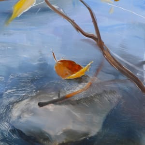 A Rock in the River by Ilana Manolson  Image: Close up