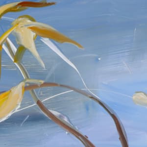 A Rock in the River by Ilana Manolson  Image: Paint chip on front