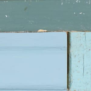 #70 by Laura Petrovich-Cheney  Image: Close up