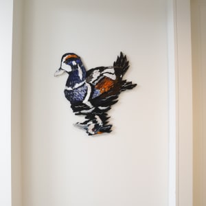 Fifth Floor Gallery Documentation 