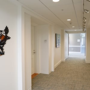 Fifth Floor Gallery Documentation 