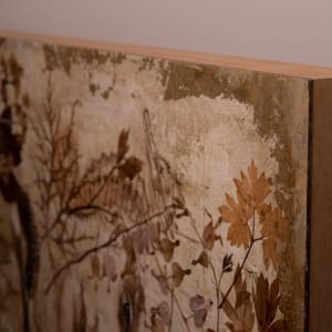 Watcher of the World by Laurie Kaplowitz  Image: Top left corner