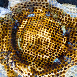 Sunset, Plate with Kamakurabori by Rumiko "Rumi"  Tsuda Estate, Image 4.