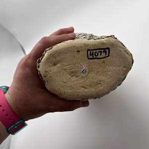 Vase by Rumiko "Rumi"  Tsuda Estate, Image 2.