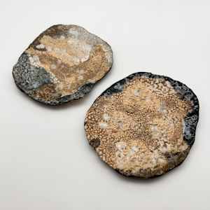 Decorative Plate by Rumiko "Rumi"  Tsuda Estate, Image 2.