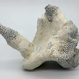 Vase (Broken) by Rumiko "Rumi"  Tsuda Estate, Image 4.