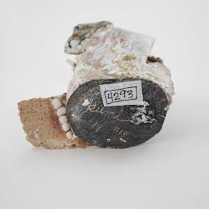 Vase by Rumiko "Rumi"  Tsuda Estate, Image 2.