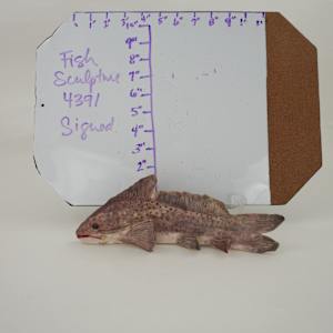 Fish Sculpture by Rumiko "Rumi"  Tsuda Estate, Image 1.