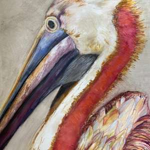 Pelican portrait by Jeanne Goodman