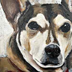 "Shifu and Muggs" by Dawn South 