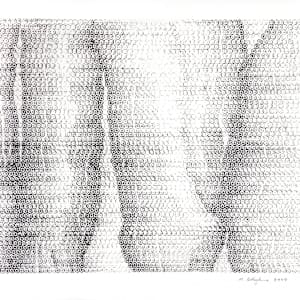 Three river delta #8 3,944 lotus impressions by Morrison Polkinghorne, Image 1.