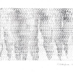 Monsoon Delta, 1390 Lotus impressions by Morrison Polkinghorne, Image 2.