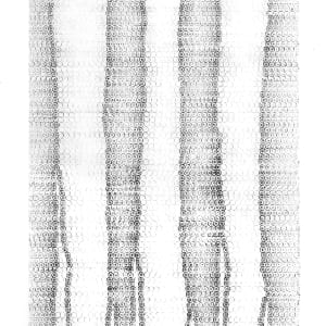 Racines 5953 by Morrison Polkinghorne, Image 1.