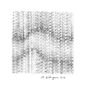 515 lotus impressions by Morrison Polkinghorne, Image 2.