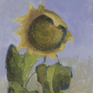 Small Sunflower by Katy McCarrick