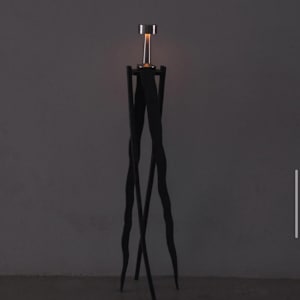 Spider Legs by Diego Santiago