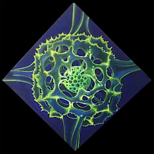Radiolaria by Nick Aquilino, Image 1.