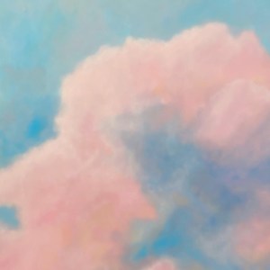 Pink Cloud by Meredith Sevin