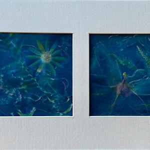 Garden "Snapshots" by Cheryl Ann Boc-Chidester