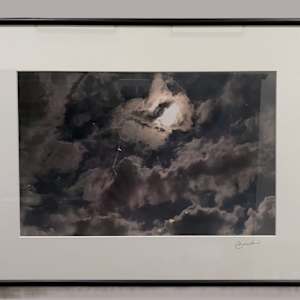 Floaters by Cheryl Ann Boc-Chidester  Image: Floaters, framed with  conservation materials