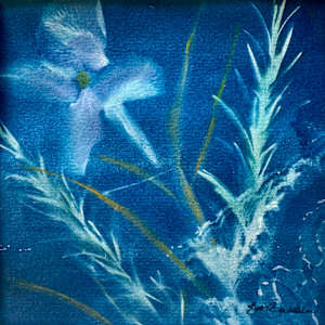 Garden "Snapshots" by Cheryl Ann Boc-Chidester  Image: detail #4