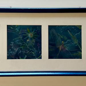 Garden "Snapshots" by Cheryl Ann Boc-Chidester  Image: Framed